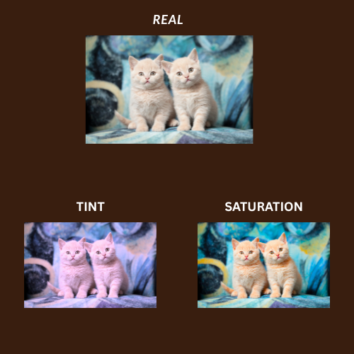 Importance of color theory in graphic design